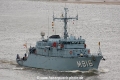 Bellis (AW-090510-01).jpg