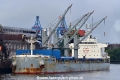 Action Trader (KB-D180921-03).jpg