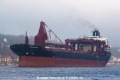 Bontrup Pearl (JS-200119-04).jpg