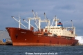 Atlantic Lady (MM-200918-1).jpg