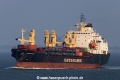 Atlantic Runner (MM-110915-3).jpg