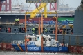 Boerde 290116-1.jpg