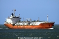 Epic Bermuda (JS-270415-01).jpg