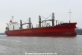 African Bulker (OK-160223-3).jpg