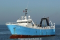 Blue Castor (US-281014-0).jpg