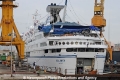 Delphin OS-111108-02.jpg