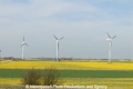 Nordfriesland-Rapsfeld-Windanlagen150407-01.jpg