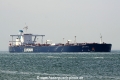 Artois (JS-220517-05).jpg