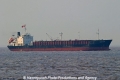Carbon Tiger (MS-060807-2).jpg