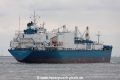 CHL Progressor (MM-310519-3).jpg