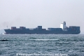 Aglaia (MS-161012-02).jpg