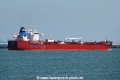 Andean Sun OS-240624-13.jpg