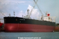 Atlantic Ruby (OS-FN601).jpg