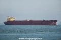 C Majesty OS-181016-06.jpg