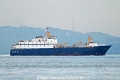 Dolphin OS-061022-01.jpg