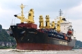 Atlantic Runner 110915-12.jpg