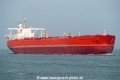 Bunga Kasturi Dua SH-101015-01.jpg