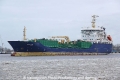 Alcedo (OK-010310-2).jpg