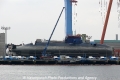 Tanin (US-010813-1).jpg