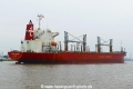 African Bulker (OK-160223-4).jpg