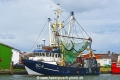Wotan 030723-1.jpg