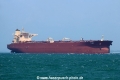 C Dignity (MS-090418-05).jpg