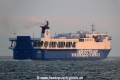 Ant 1 (OK-080214-0).jpg