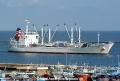 Tuna Queen (OS-130205-3).jpg