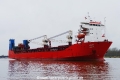 Adler (OK-240220-3).jpg