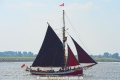 Dagmar Aaen 050815-1.jpg
