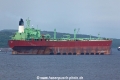 Belokamenka TJ-110714-29.jpg