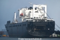 Pililaau OS-030123-23.jpg