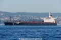 Alameda (OK-110917-1).jpg