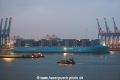 Ane Maersk 280324-11.jpg