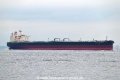 Asian Progress VI OS-231022-09.jpg