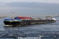 Alpha (JS-020910-04).jpg