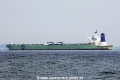 BW Lion OS-131014-12.jpg