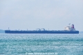Asian Progress 6 OS-201019-08.jpg