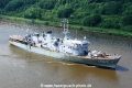 Godetia JB-310516-02.jpg