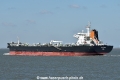 Asphalt Synergy HK-010425.jpg