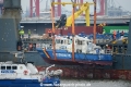 Boerde 290116-2.jpg