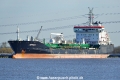 Aethalia (OK-050420-0).jpg
