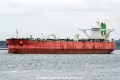 Baltic Loyalty SH-040824-01.jpg