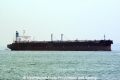 C Elephant 221107-02.jpg