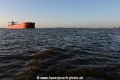 Bulkcarrier-Elbe 81114-03.jpg