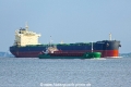 Bulker + Coaster (KK-060819-0).jpg