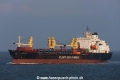 Atlantic Runner (MM-110915-4).jpg