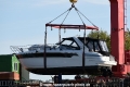 Pearl 281014.jpg