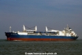 CHL Progressor (K2003-1-MS).jpg