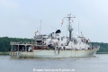Godetia A960 (OK-310516-1).jpg
